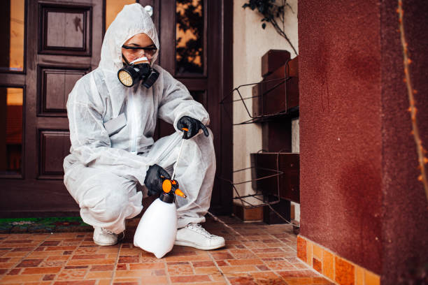 Reliable Wasp Removal contractor in Centerville, UT by Show Me Pest Control